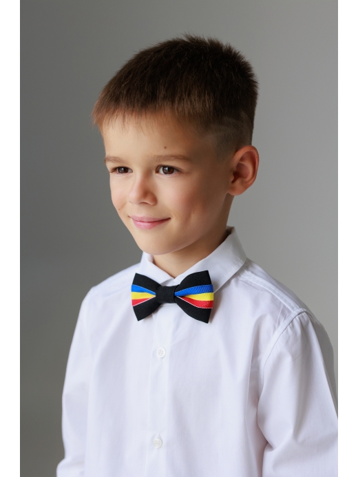  Papion Tricolor  ( Albastru închis)
