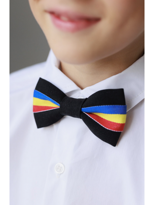  Papion Tricolor  ( Albastru închis)
