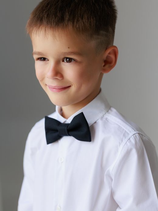   Bow tie   (  Bow tie  )