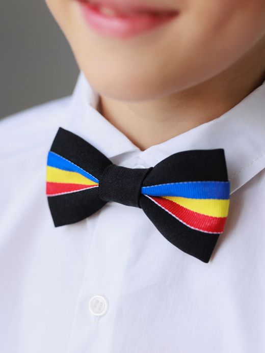  Tricolor Bow tie ( Tricolor Bow tie  )