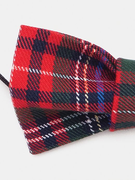  Bow tie   (  Bow tie  )