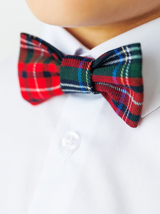   Bow tie   (  Bow tie  )
